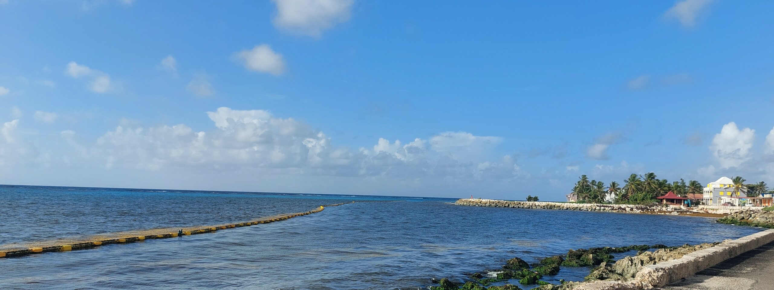 Barrage déviant les sargasses posé en août 2023 au bourg de Capesterre