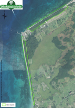 Renaturation forêt des Trois Îlets