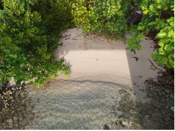 Restauration continuité écologique rivière Vieux-Fort